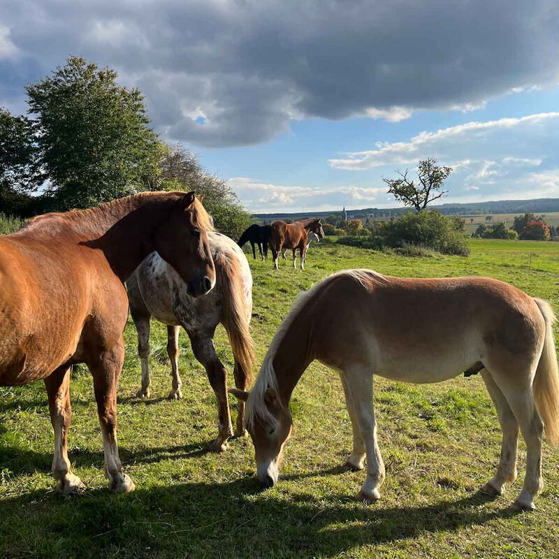 Winterwandern im Bielatal